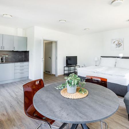 Apartman V Podebradech 波杰布拉迪 外观 照片