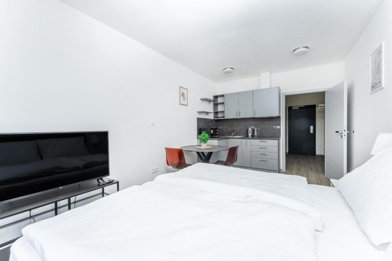 Apartman V Podebradech 波杰布拉迪 外观 照片