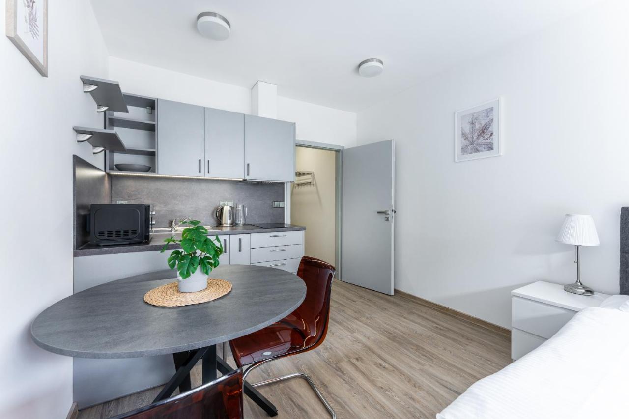 Apartman V Podebradech 波杰布拉迪 外观 照片