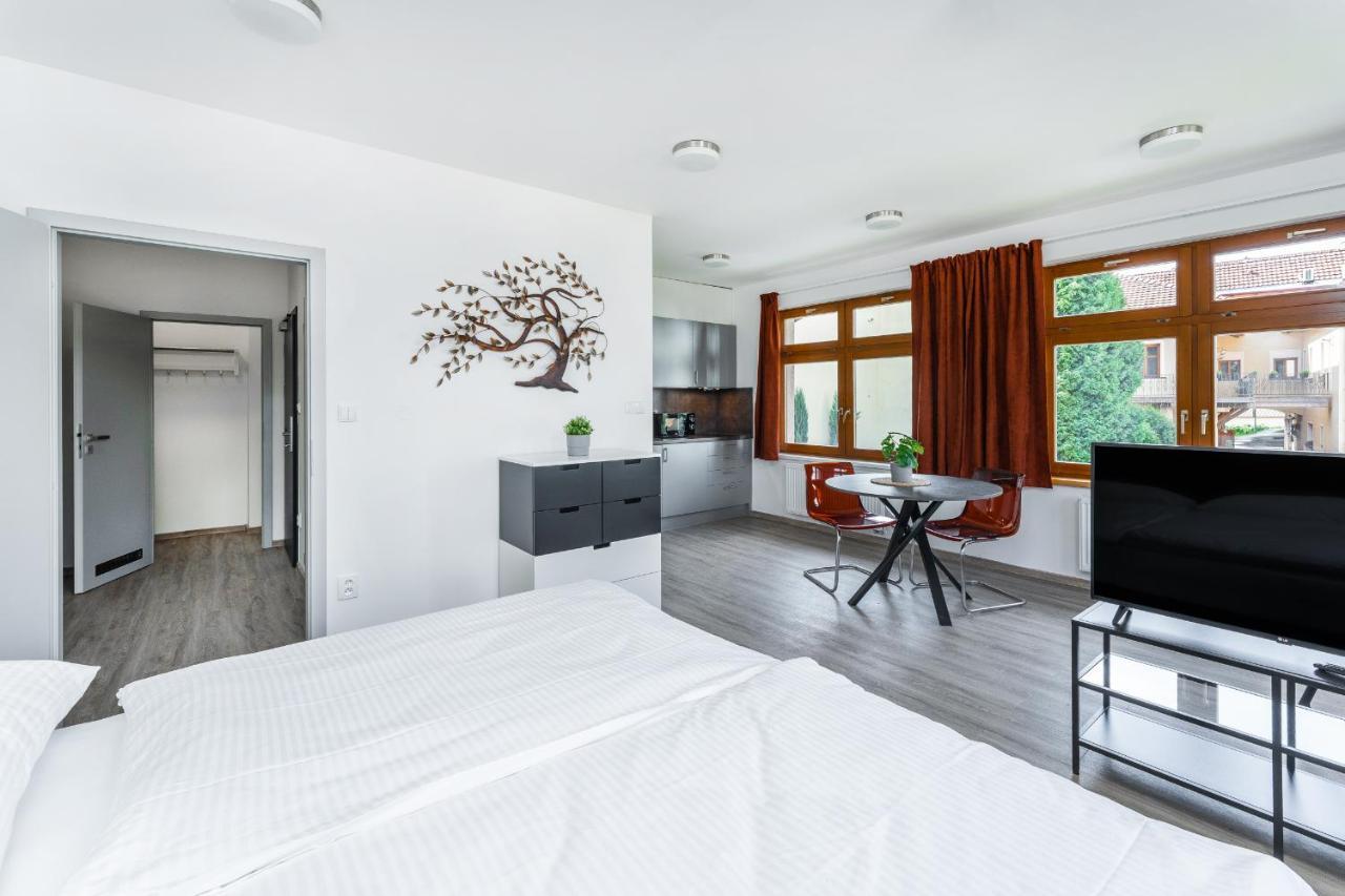 Apartman V Podebradech 波杰布拉迪 外观 照片