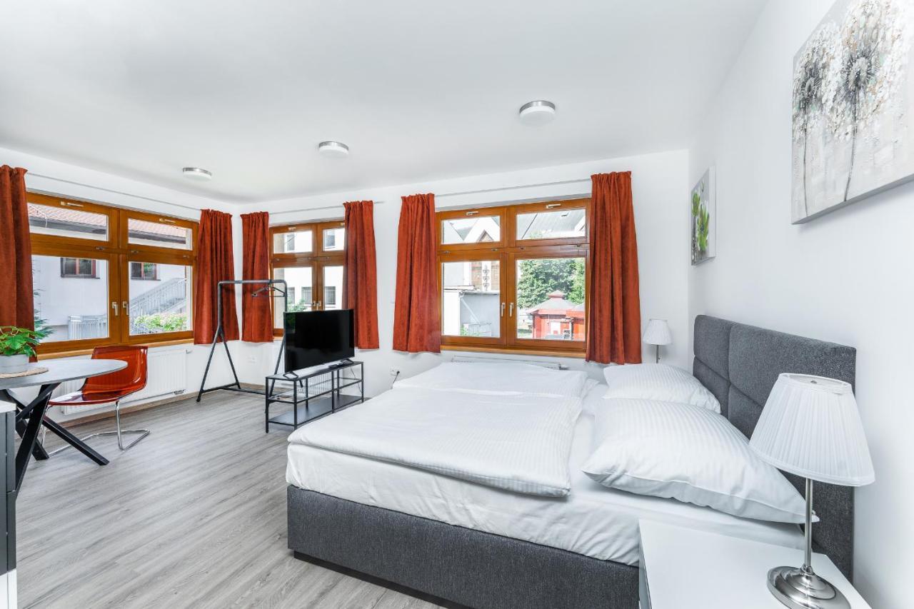 Apartman V Podebradech 波杰布拉迪 外观 照片