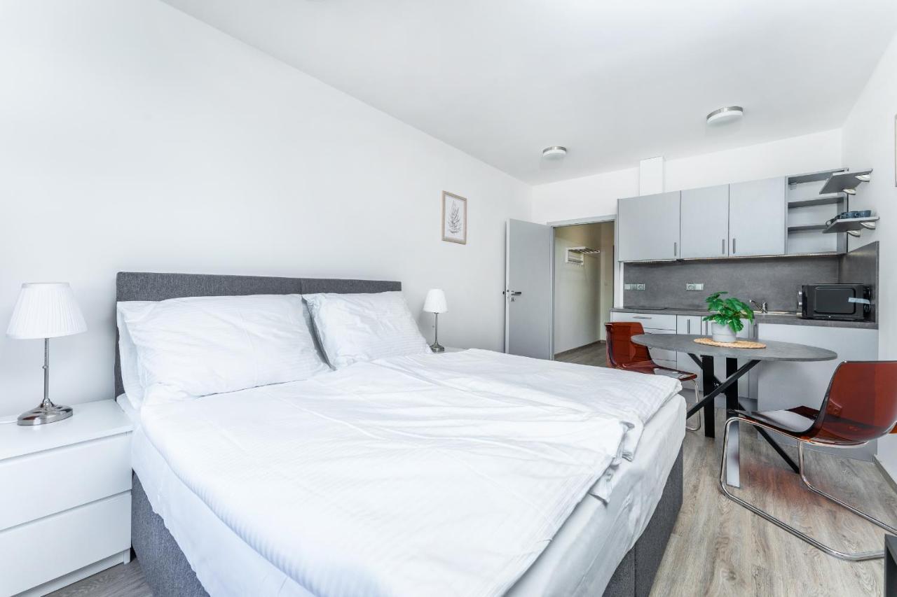 Apartman V Podebradech 波杰布拉迪 外观 照片