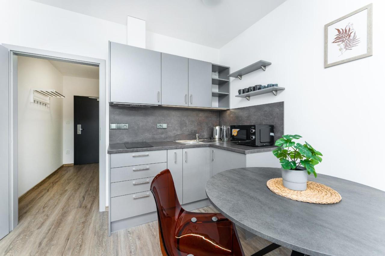 Apartman V Podebradech 波杰布拉迪 外观 照片