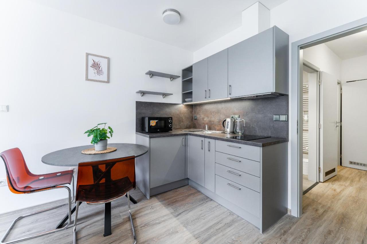 Apartman V Podebradech 波杰布拉迪 外观 照片