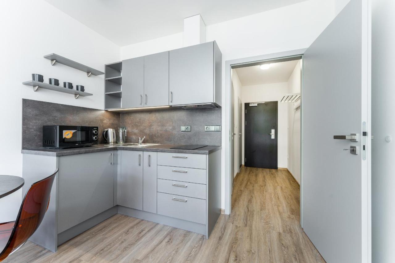 Apartman V Podebradech 波杰布拉迪 外观 照片