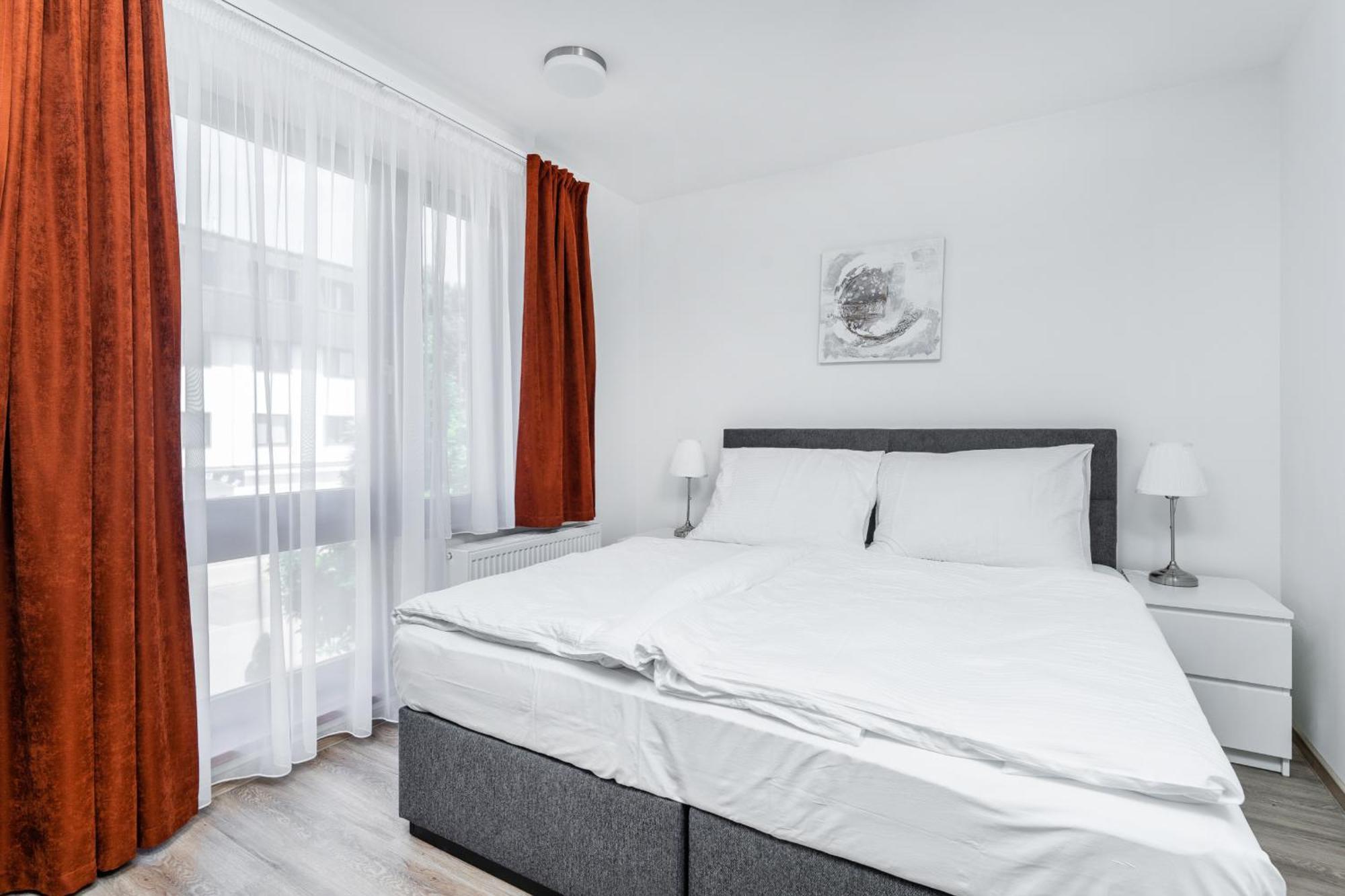 Apartman V Podebradech 波杰布拉迪 外观 照片