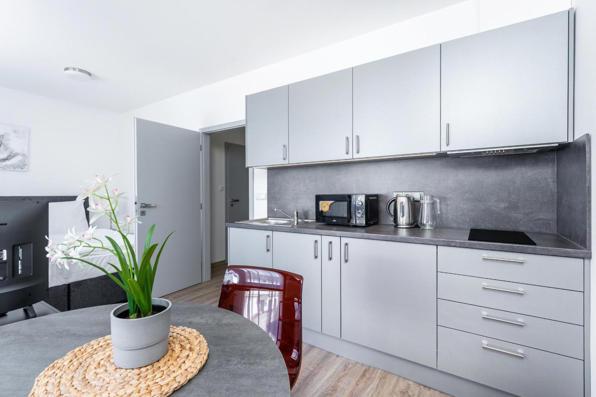 Apartman V Podebradech 波杰布拉迪 外观 照片