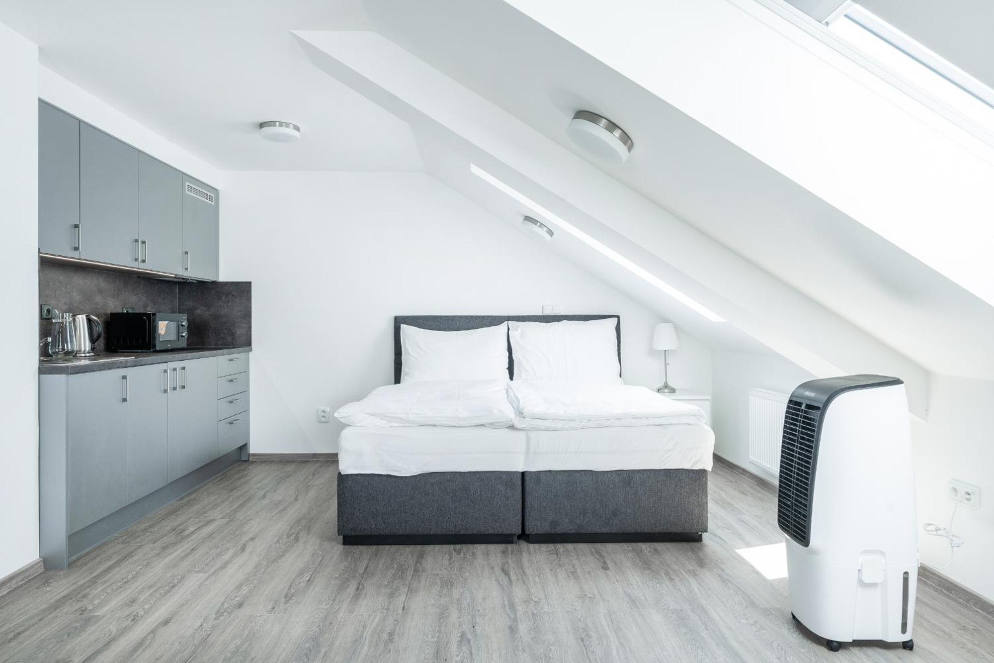 Apartman V Podebradech 波杰布拉迪 外观 照片