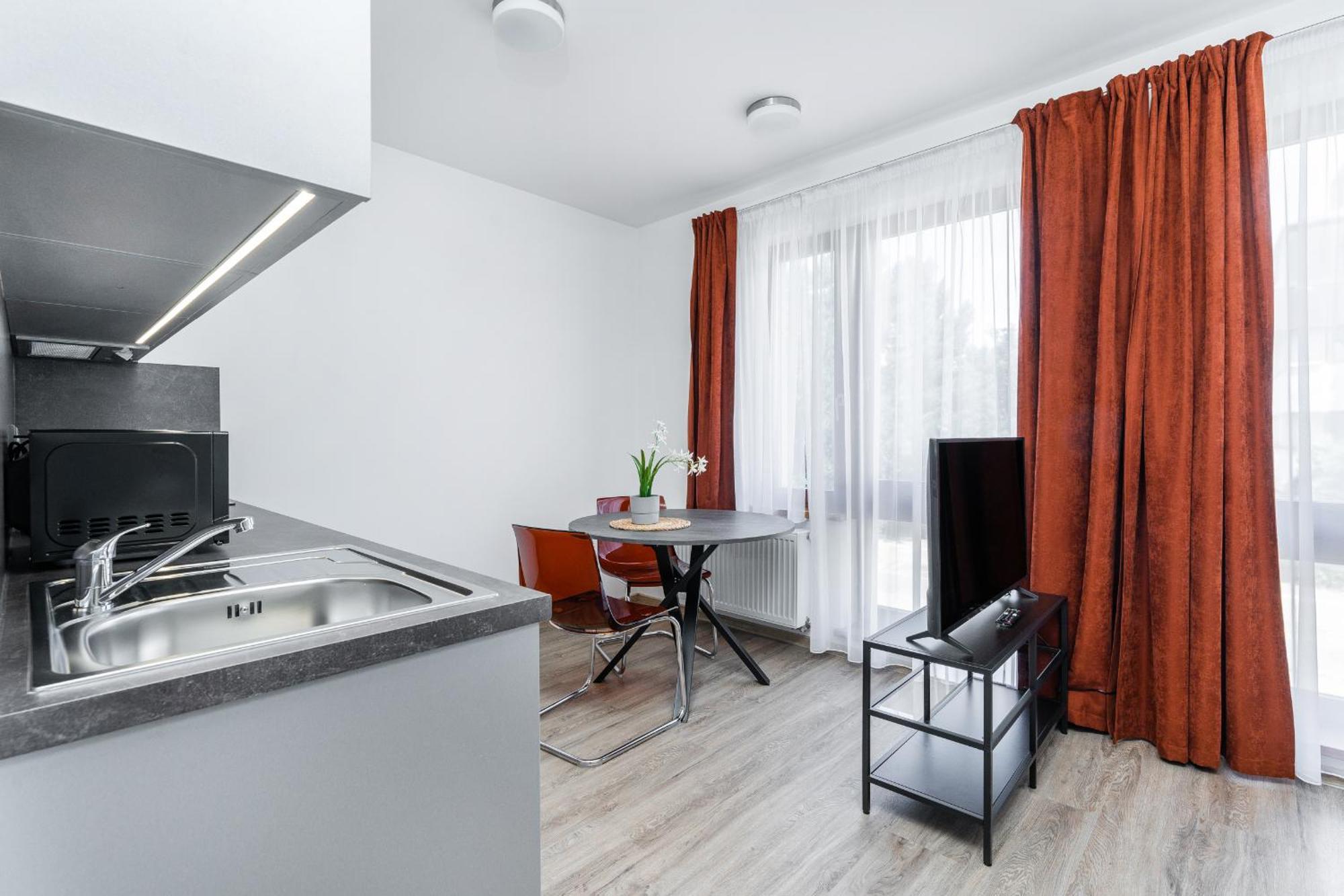 Apartman V Podebradech 波杰布拉迪 外观 照片