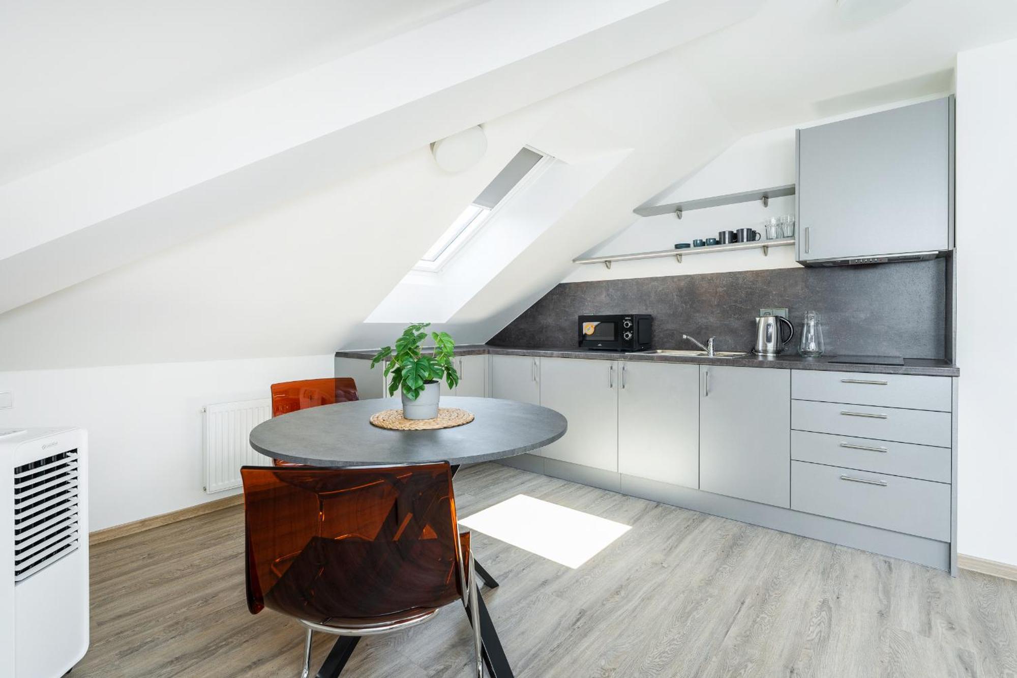 Apartman V Podebradech 波杰布拉迪 外观 照片