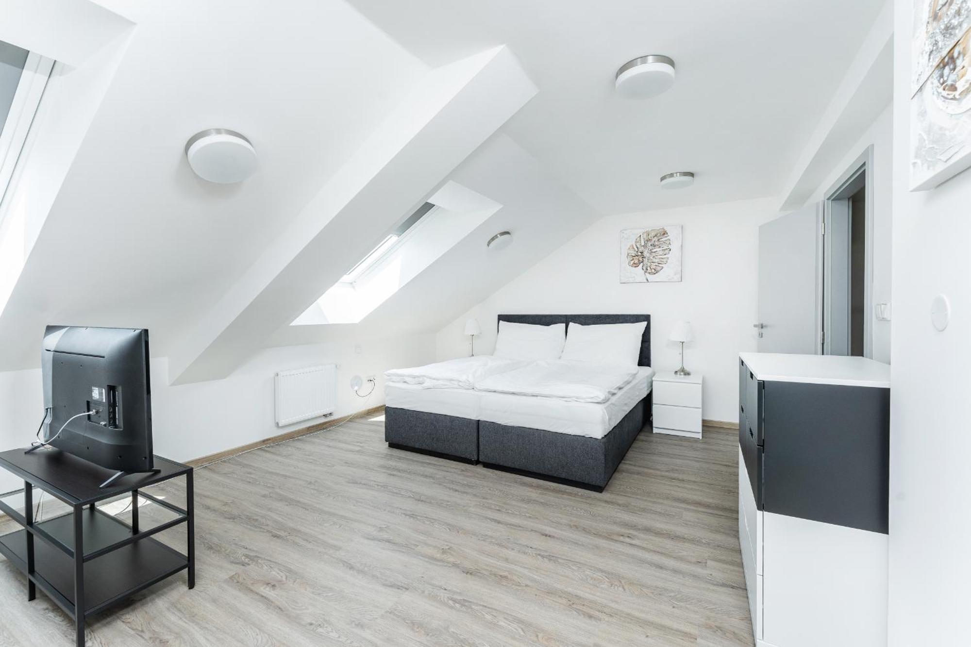 Apartman V Podebradech 波杰布拉迪 外观 照片