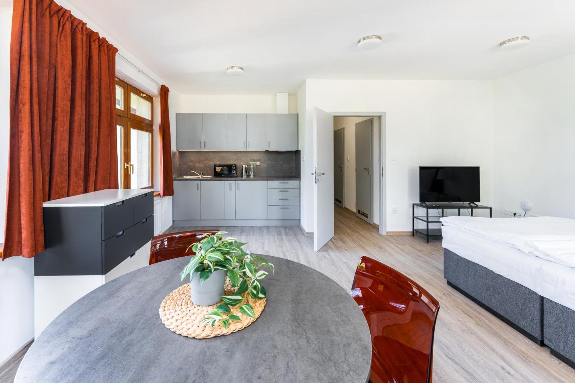 Apartman V Podebradech 波杰布拉迪 外观 照片