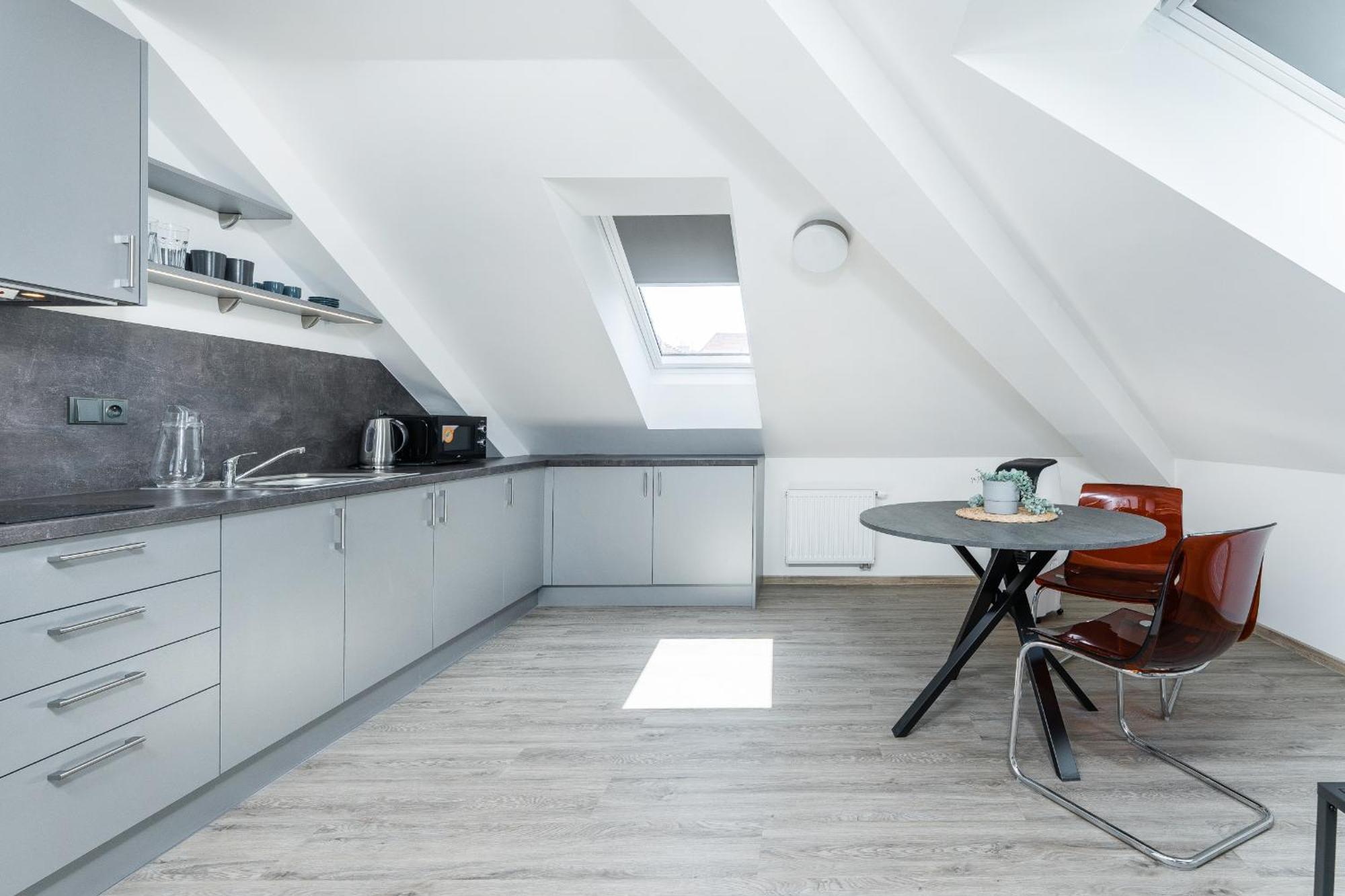 Apartman V Podebradech 波杰布拉迪 外观 照片