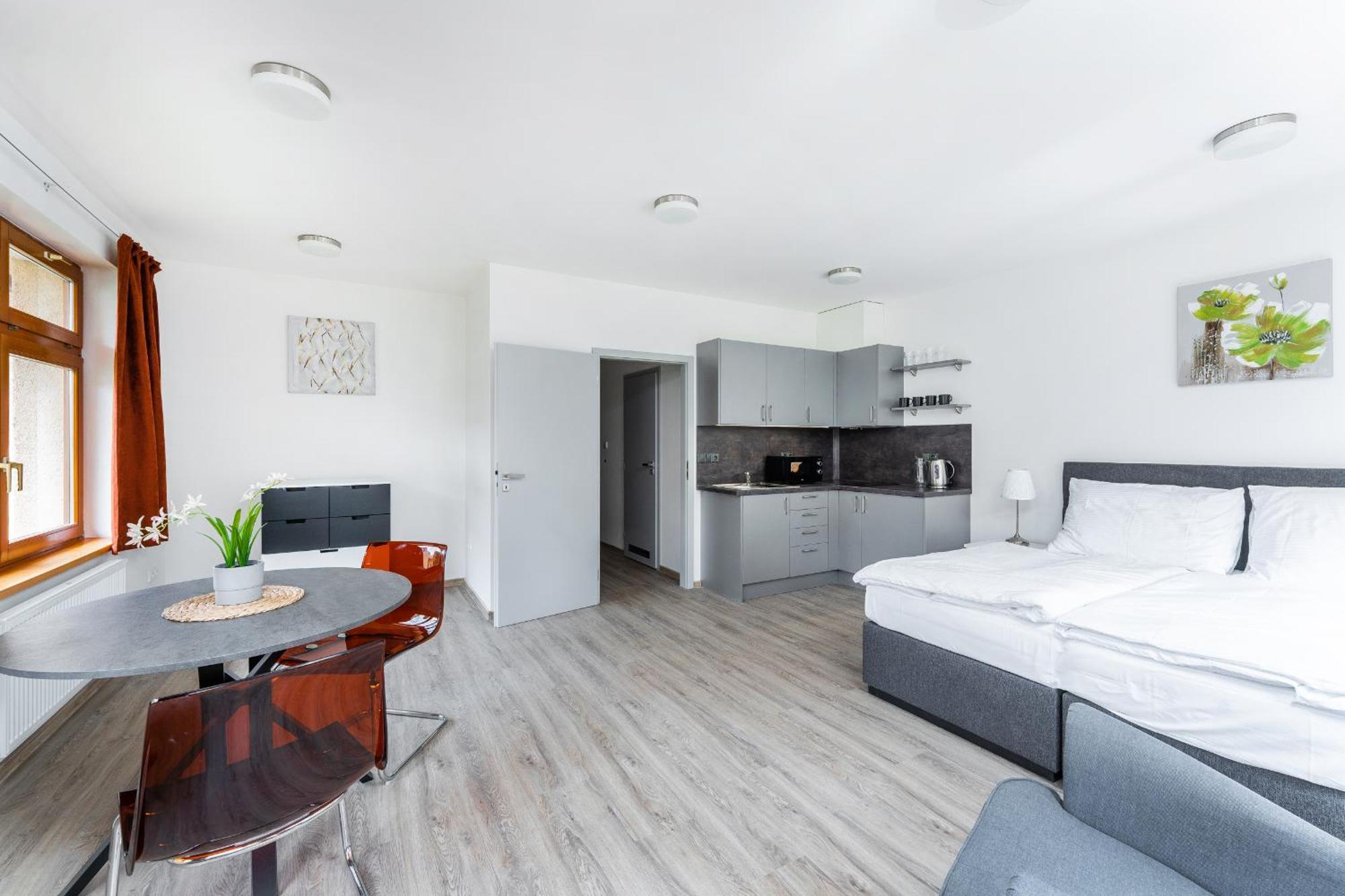 Apartman V Podebradech 波杰布拉迪 外观 照片
