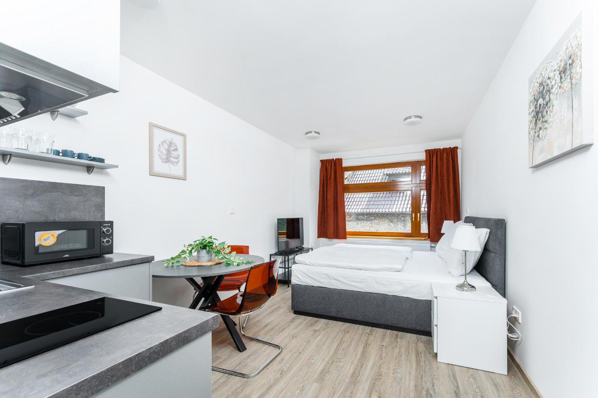 Apartman V Podebradech 波杰布拉迪 外观 照片