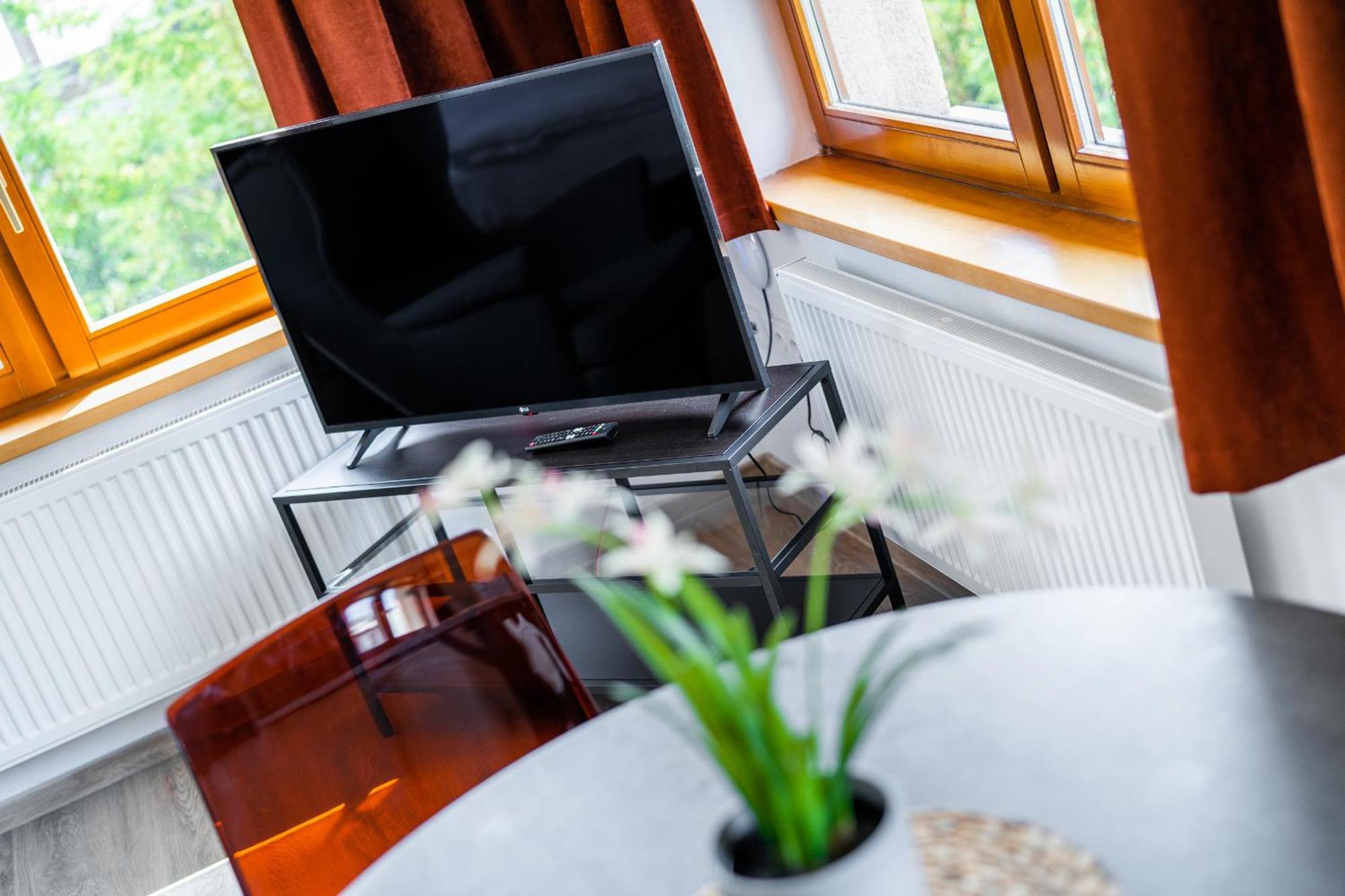 Apartman V Podebradech 波杰布拉迪 外观 照片