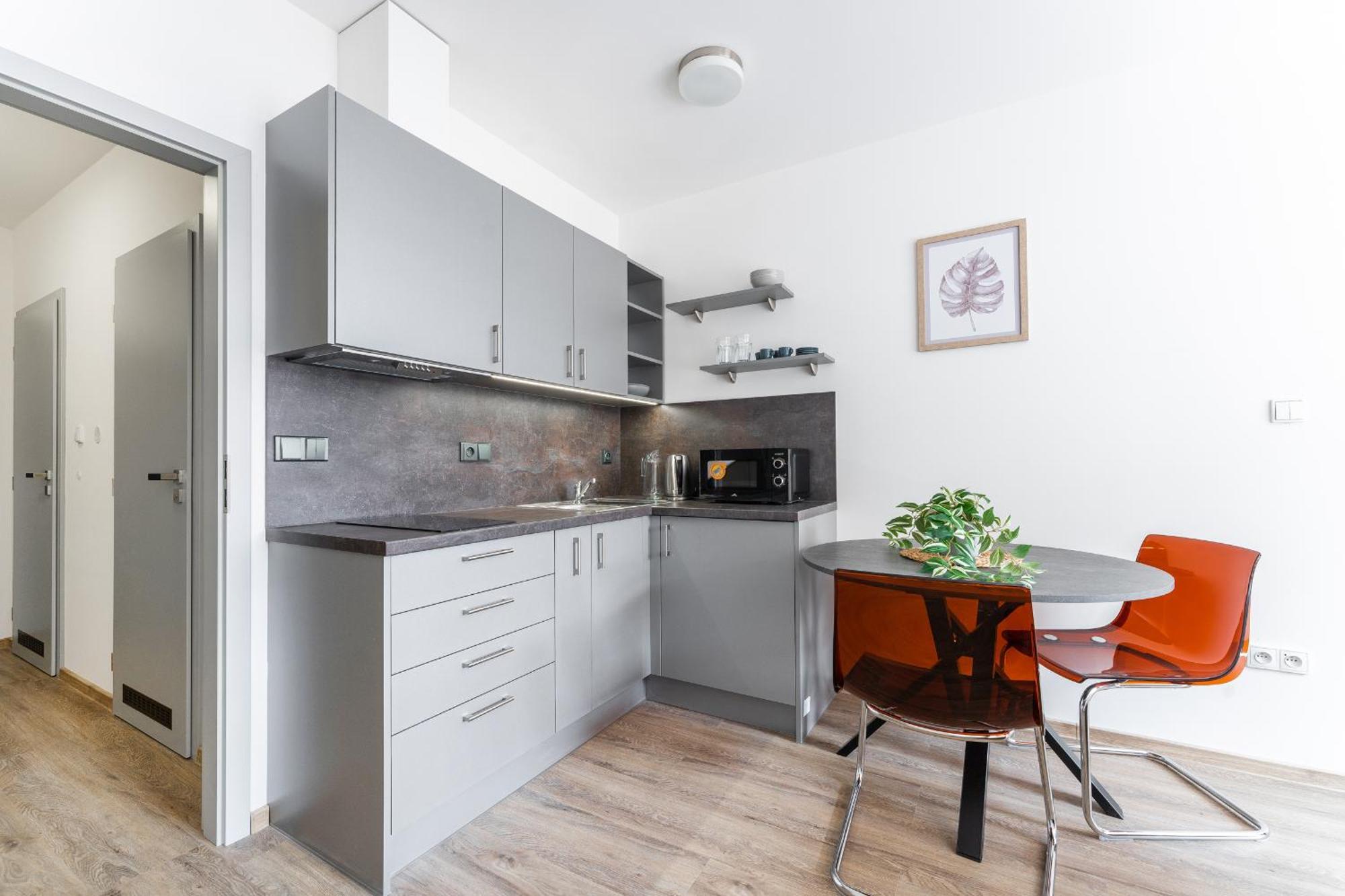 Apartman V Podebradech 波杰布拉迪 外观 照片